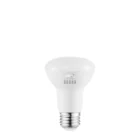 ESL PAR20 PAR30 PAR38 5CCT Selectable Kevin Lamps