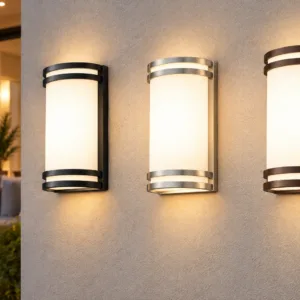 ASD LED Wall Sconce Series LWS-11